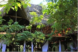 Dominican Tree House Village Eco Lodge Samana Dominican Tree House Village Eco Lodge Samana